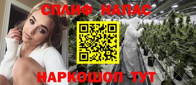Альфа ПВП Ставрополь